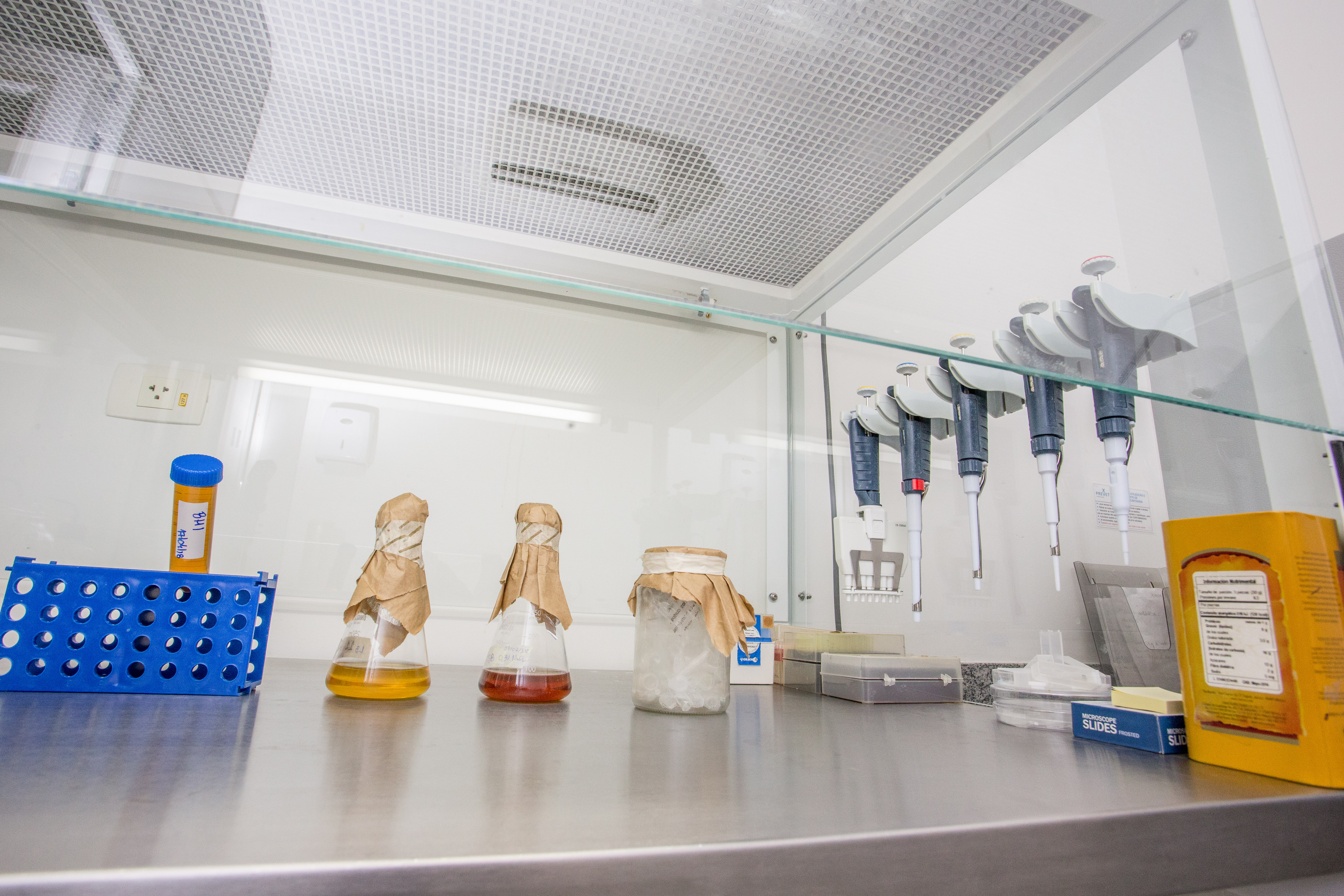 laboratorio